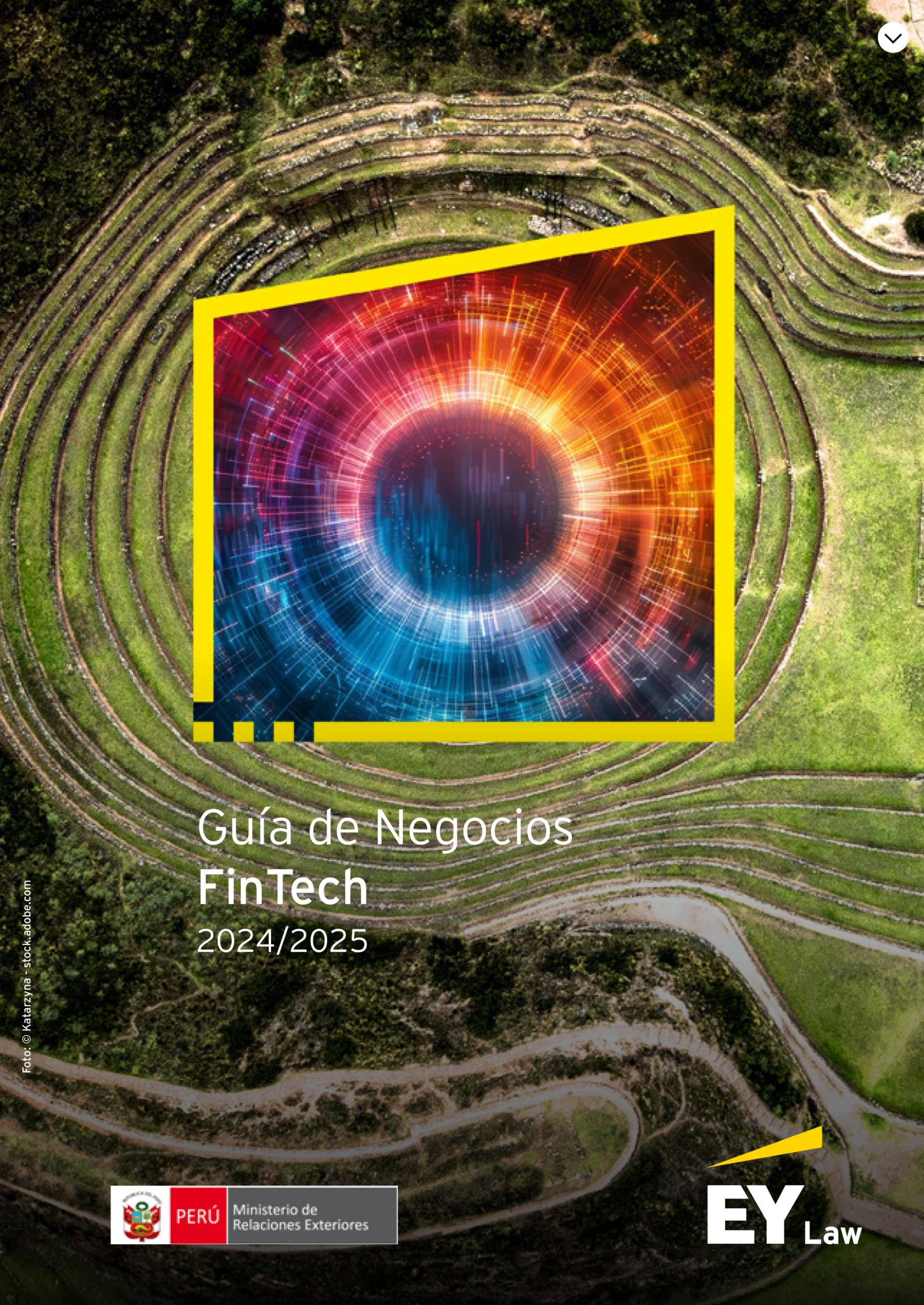 EY FinTech Business Guide 2024-2025